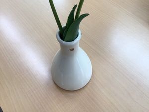 卓上の花瓶と葉っぱの写真