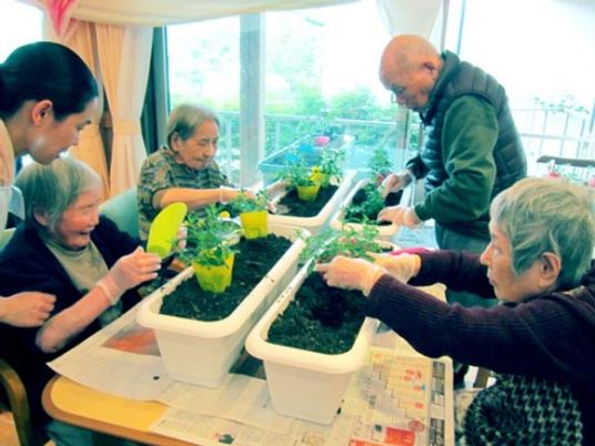 多世代が植物を育てる様子