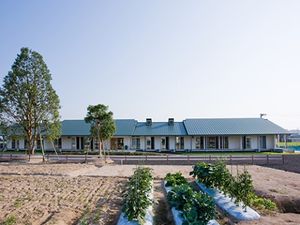 新緑の中庭と建物