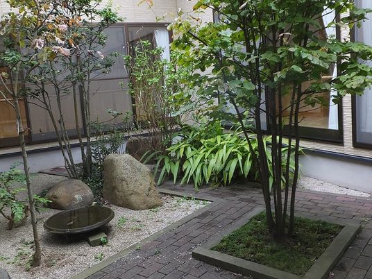 中庭の植栽と飛び石  