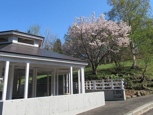 桜の見える外観  