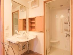 清潔な洗面台とシャワー室