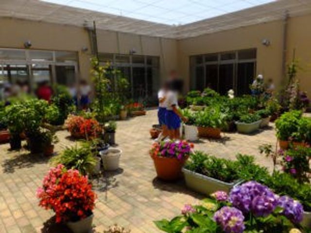 植物が彩る中庭 中庭 太陽光が降り注ぐ中庭です。さまざまな花と緑があり、リラックスしながら散策できます。
