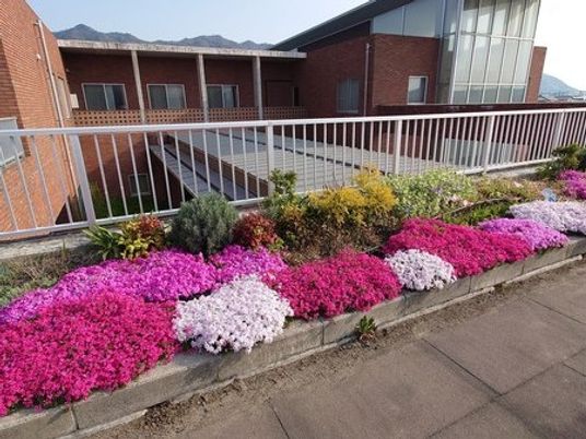 花壇のある中庭  