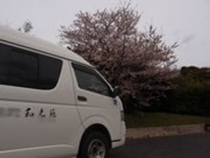 桜並木の駐車場