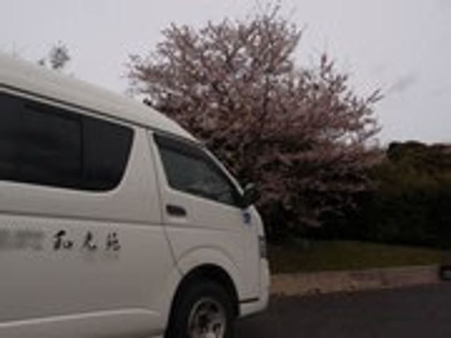 桜並木の駐車場 外観 満開の桜が咲き誇る駐車スペースは、訪れるたびに心を和ませます。散歩にも最適な環境です。