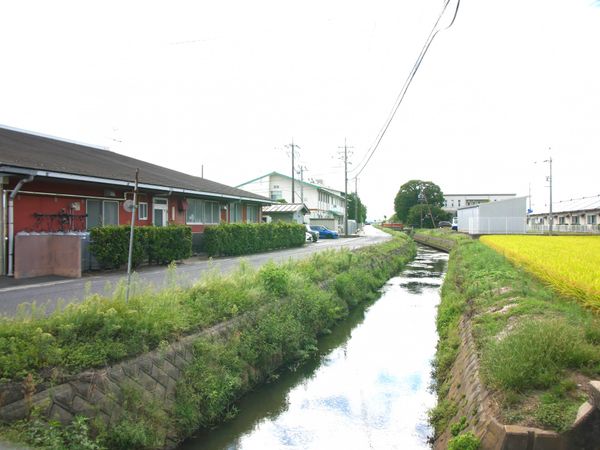 平和な郊外の外観