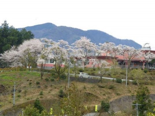 春の桜と施設外観