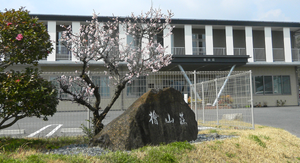 満開の花と建物の外観