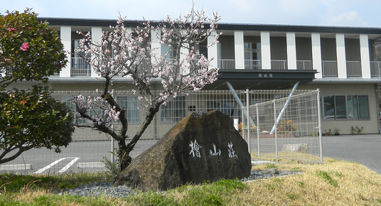 満開の花と建物の外観