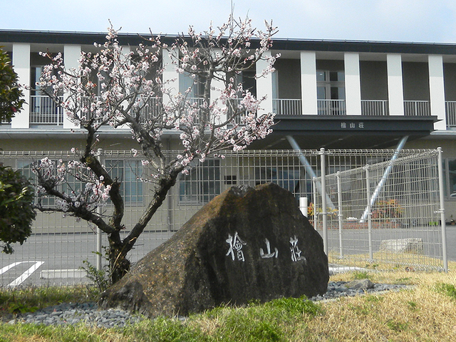 満開の花と建物の外観 外観 春の訪れを感じる満開の木が迎えてくれます。暖かい雰囲気のある入り口です。