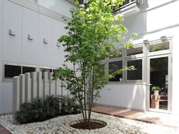 緑あふれる開放的な中庭