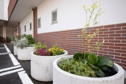 植栽が美しいエントランス