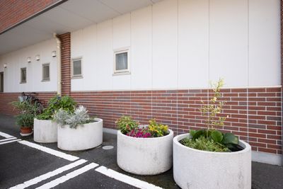 植物と白い壁の建物