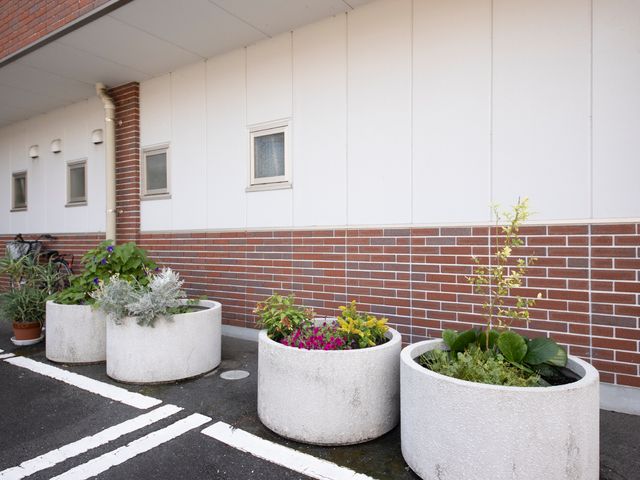 植物と白い壁の建物 花壇 緑豊かな植物が並ぶ、清潔感のあるエントランスです。訪れる人をやさしく迎えてくれる、心地よい空間が広がっています。