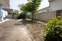 青空と緑の中庭