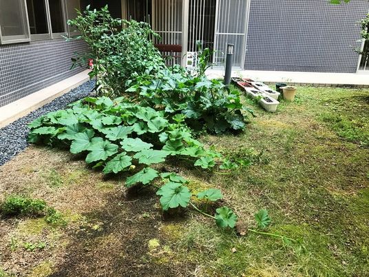 手入れされた中庭  
