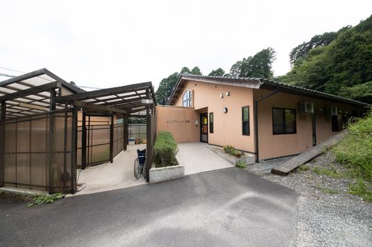 緑に囲まれた建物の外観