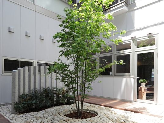 中庭の樹木とベンチ