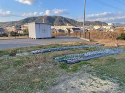 広々とした庭の風景
