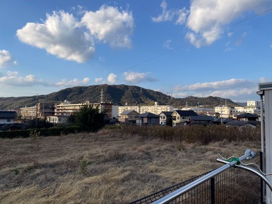 落ち着いた景色の庭