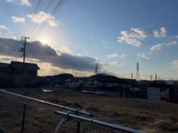 のどかな風景