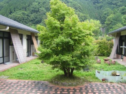 緑豊かな中庭