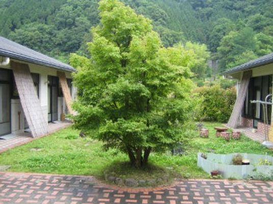 自然豊かな庭