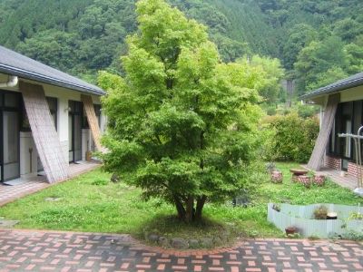 緑豊かな中庭