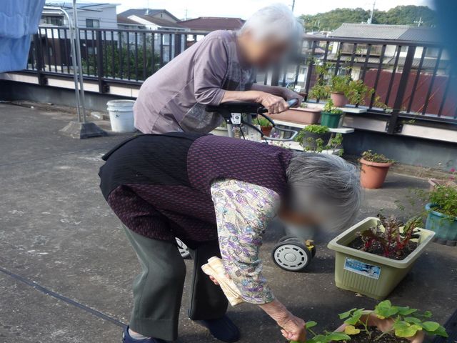 中庭での活動 中庭 自然を感じる中庭で、利用者が植物の手入れを楽しむ様子です。穏やかなひとときを過ごせます。