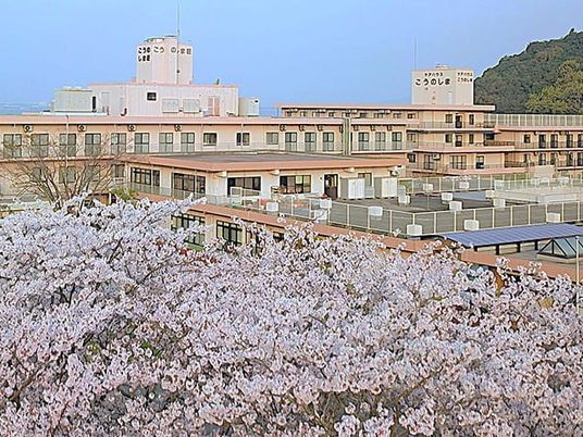桜越しの施設外観  