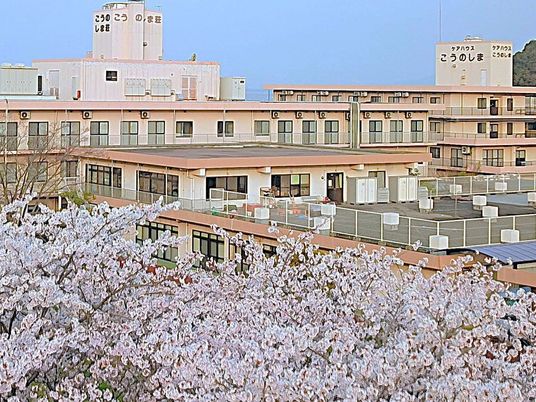 桜と建物の外観  