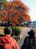 紅葉と散策する背中