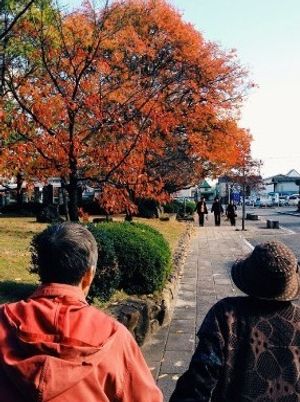 紅葉と散策する背中