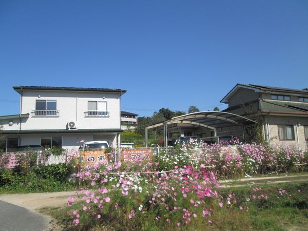 青空背景の白壁建物