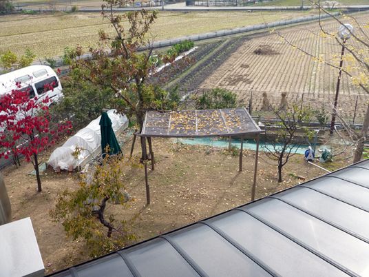 手入れされた緑の庭園