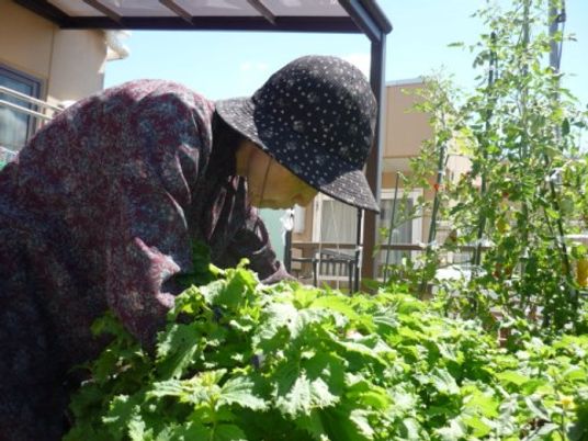 庭で植物を手入れする人