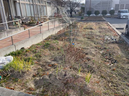 植え込みと玄関前の庭