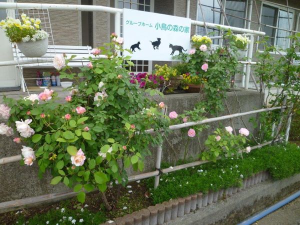 花と緑のあるエントランス