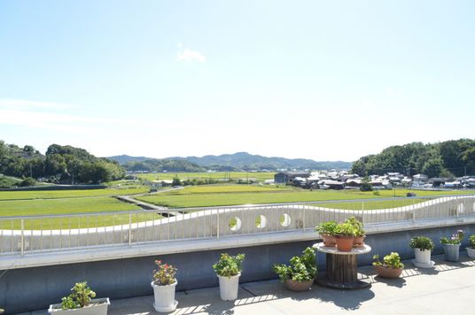 広々としたテラスの風景