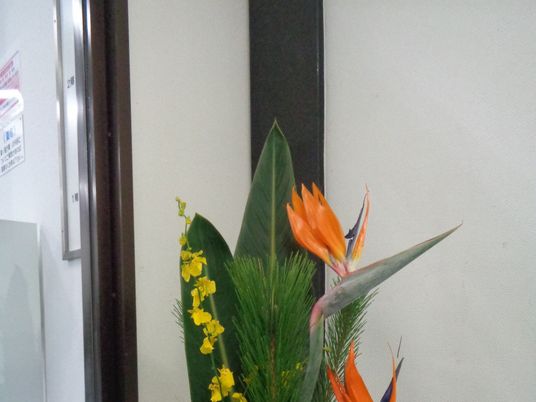 花が飾られた廊下  