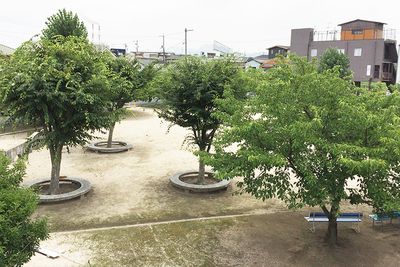 広々とした中庭