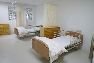 自然光の差し込む居室  