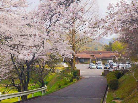 桜並木の施設入口  