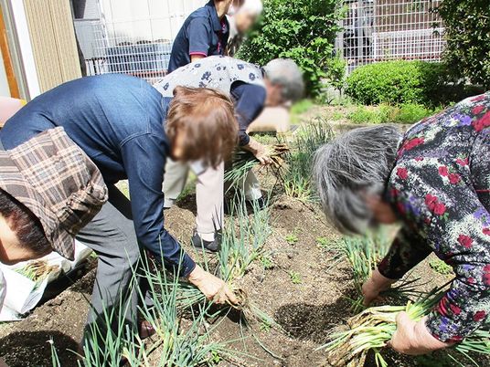 庭での農作業