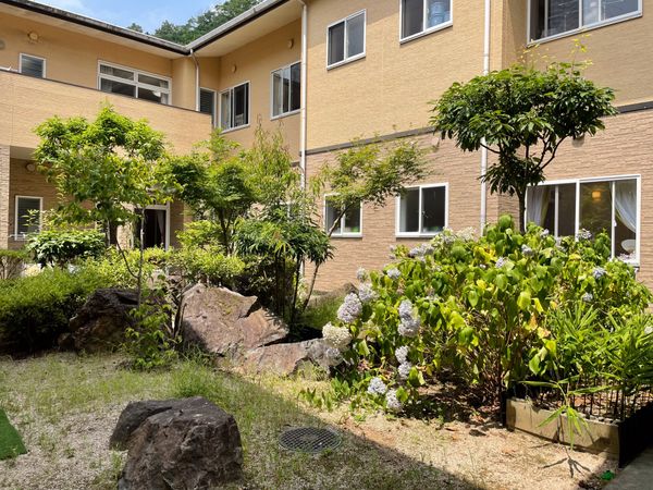 緑が豊かな中庭