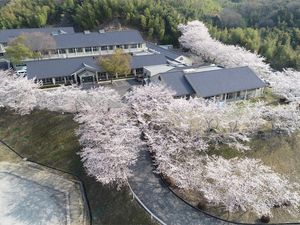 桜に囲まれた外観  