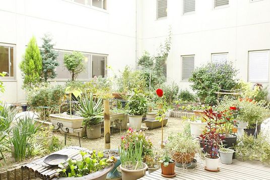 多様な植物がある中庭