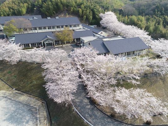 桜に囲まれた施設外観  
