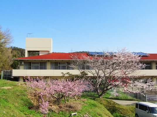 桜と建物の外観  